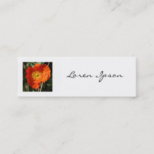Square Photo - Welsh Poppy (Orange) Mini Business Card