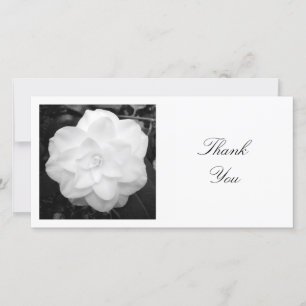 Square Photo - White Camellia Thank You Card