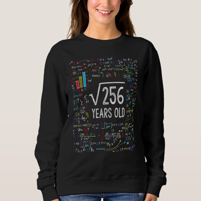 Square Root Of 256 16th Birthday 16 Year Old  Math Sweatshirt (Front)