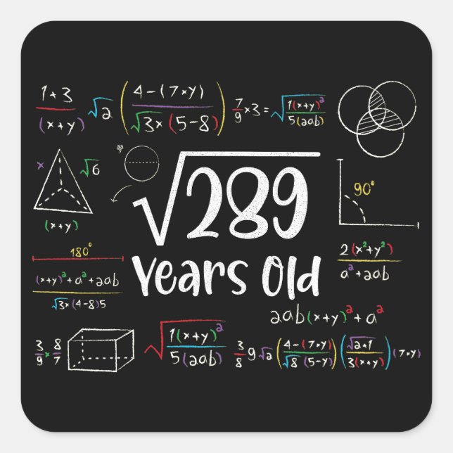 Square Root of 289 17th Birthday 17 Year Old Gifts Square Sticker (Front)