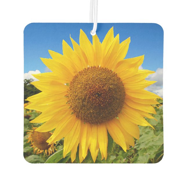 Square Sunflower Air Freshener (Back)