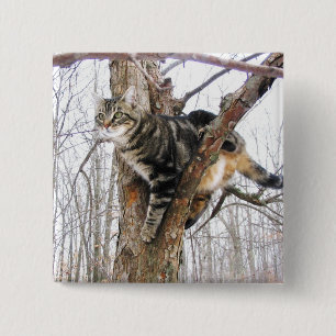 Square Tabby Cat Button