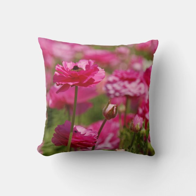 Square Throw Pillow with Pink Ranunculus Design (Front)