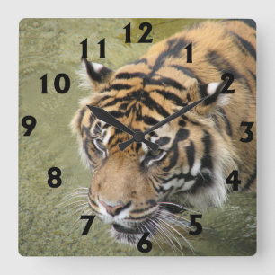 Square Tiger Clock