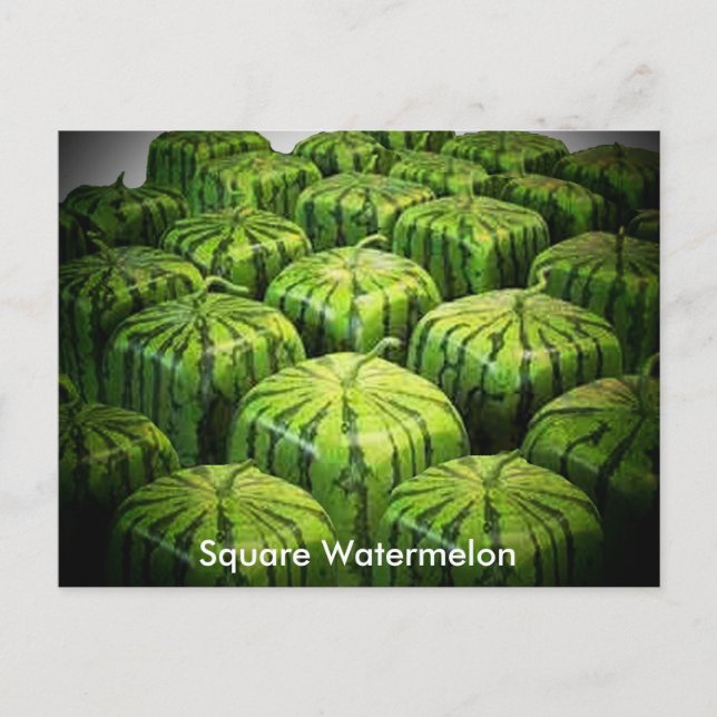 Square Watermelon Postcard (Front)