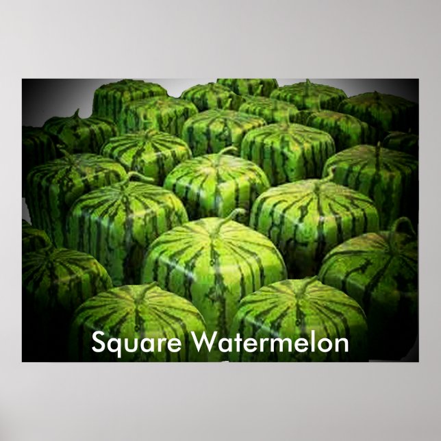Square Watermelon Print (Front)