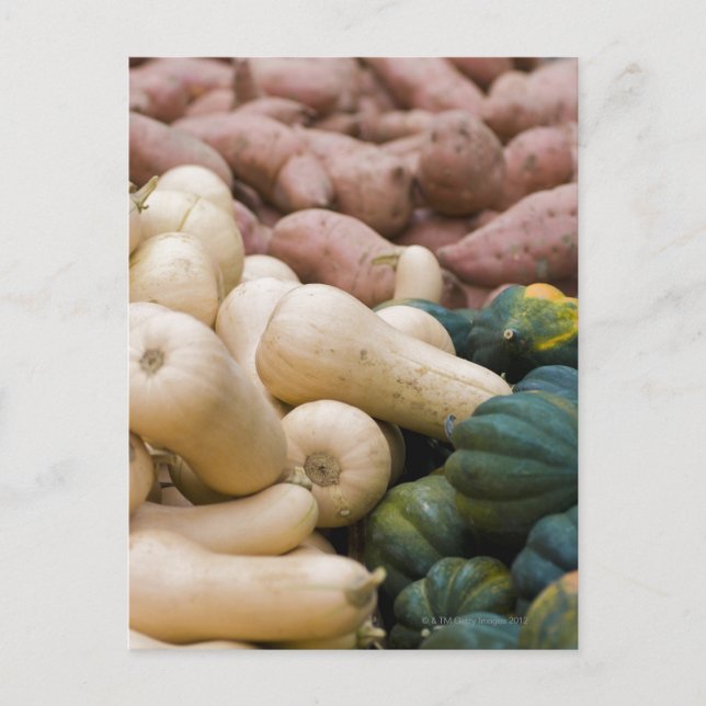 Squash and sweet potatoes postcard (Front)