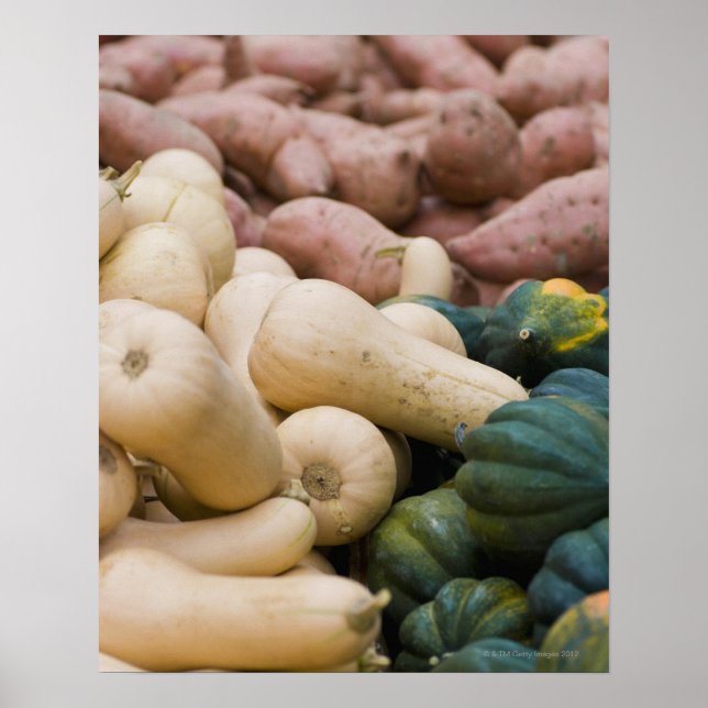 Squash and sweet potatoes poster (Front)