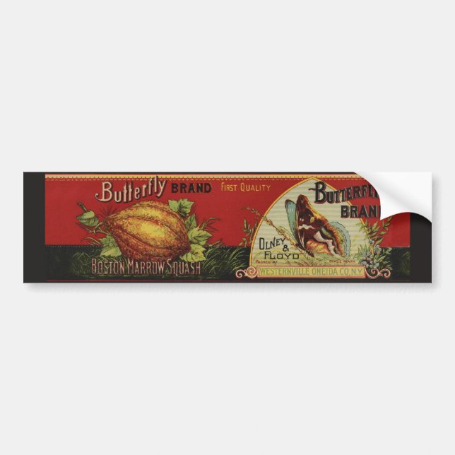 Squash Antique Vegetable Label Can (Front)