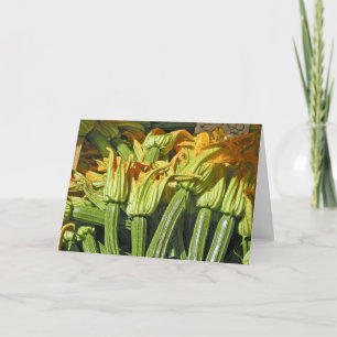 Squash Blossom Note Cards
