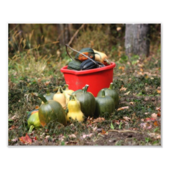 Squash Country Garden Harvest Orton Art 8x10 Photo Print (Front)