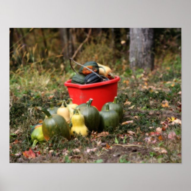 Squash Country Garden Harvest Orton Art Poster (Front)