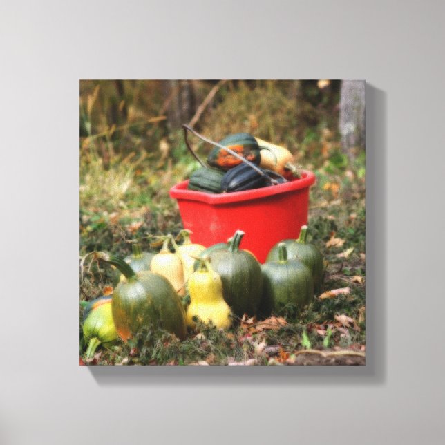 Squash Country Garden Harvest Orton   Canvas Print (Front)