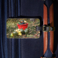 Squash Country Garden Harvest Personalized