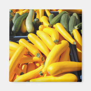 Squash in Yellow and Green Magnet