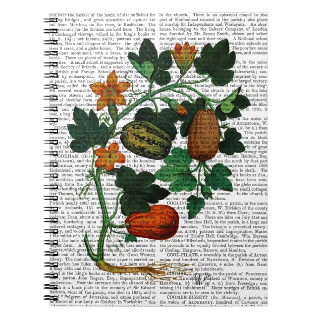 Squash Vine 1 Notebook (Front)