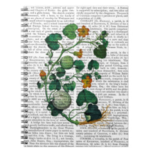 Squash Vine 2 Notebook