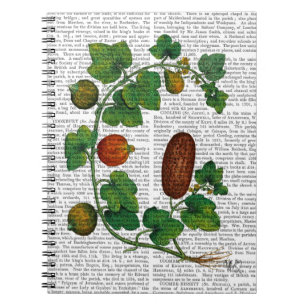 Squash Vine 3 Notebook