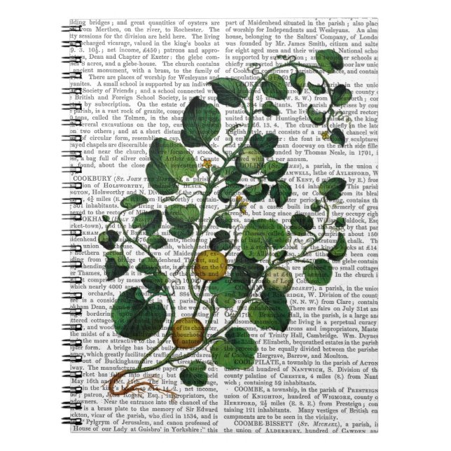 Squash Vine 4 Notebook (Front)