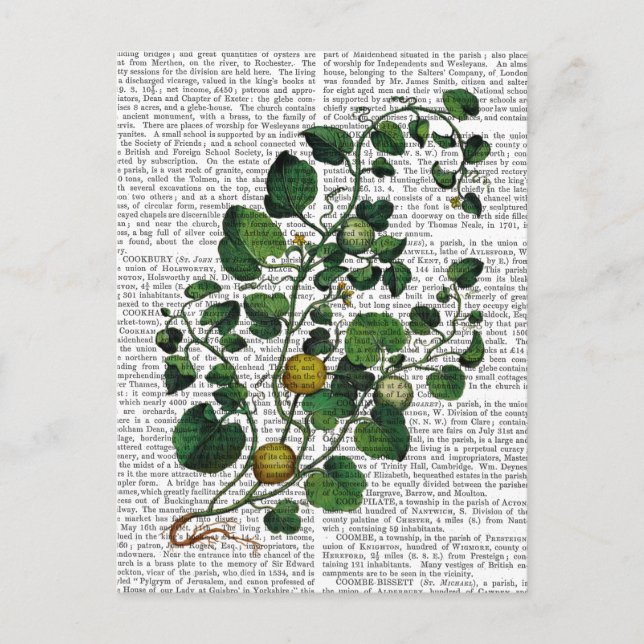 Squash Vine 4 Postcard (Front)