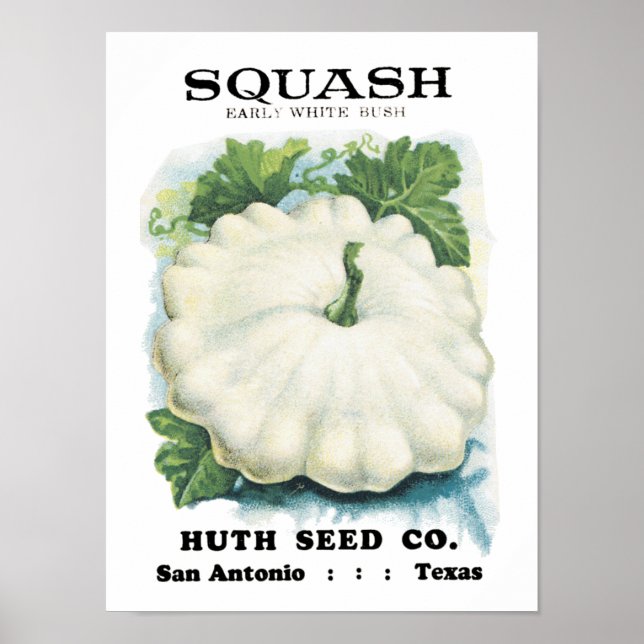 Squash Vintage Seed Packet Poster (Front)