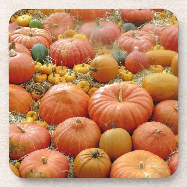 Squashes Galore Coaster (Front)