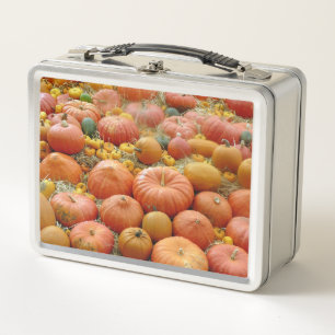 Squashes Galore Metal Lunch Box