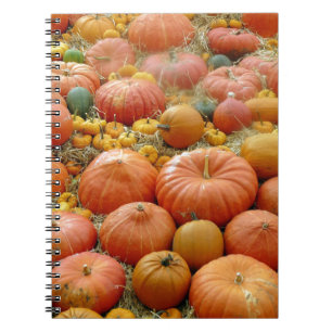 Squashes Galore Notebook