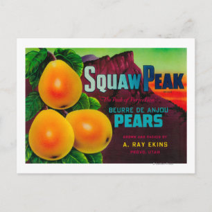 Squaw Peak Pear Crate LabelProvo, UT Postcard