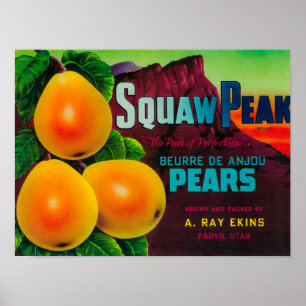 Squaw Peak Pear Crate LabelProvo, UT Poster