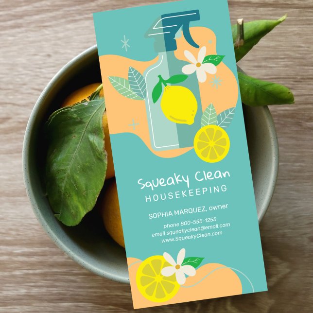 Squeaky Clean Marketing Rack Card (Creator Uploaded)