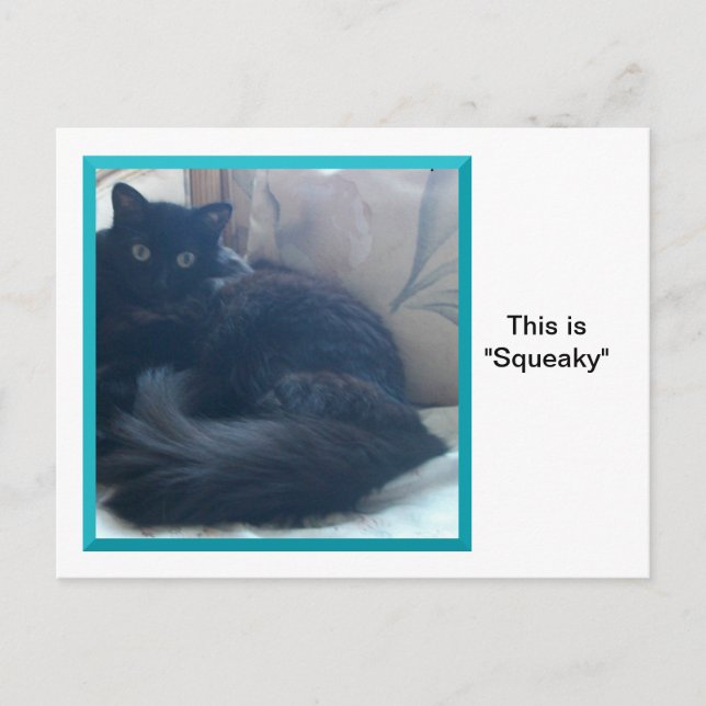 Squeaky On a Postcard (Front)