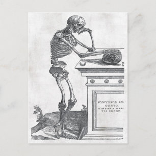 Squelette Avec Carte Postale Crâne