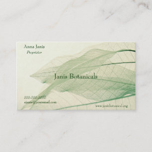 squelette de feuilles vertes carte de visite