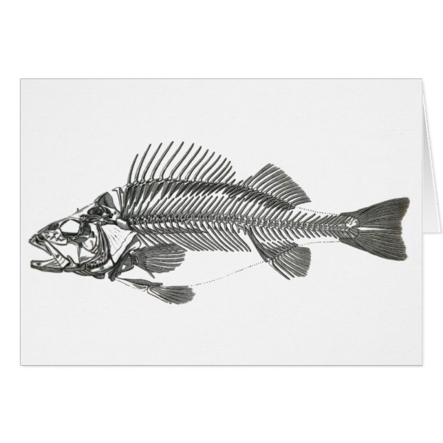 Squelette de poissons (Devant Horizontal)