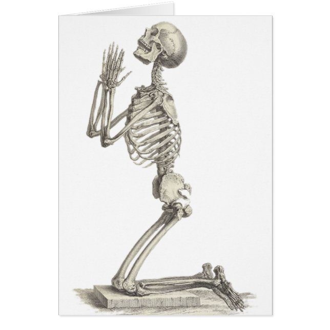 Squelette vintage (Devant)