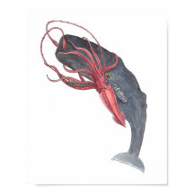Squid and Whale Watercolor Art Print