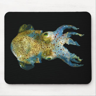 Squid Bobtail Dumpling Stubby Sepiola Atlantica Mouse Pad