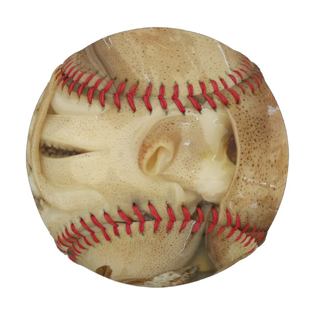 Squid - Calamari Baseball (Front)