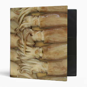 Squid - Calamari Binder