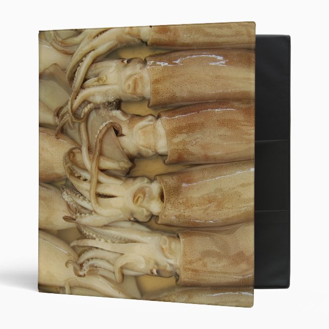 Squid - Calamari Binder (Front/Inside)
