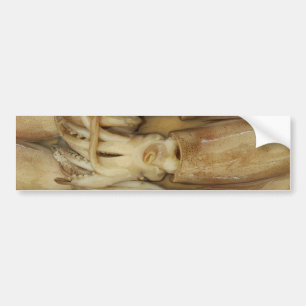 Squid - Calamari Bumper Sticker