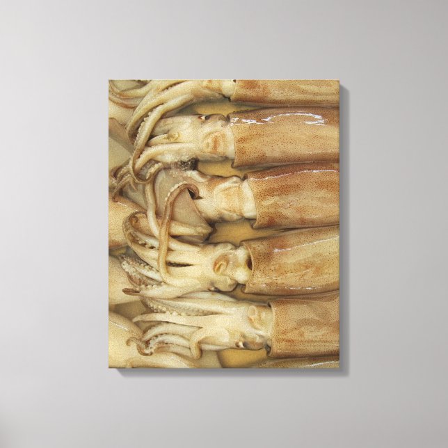Squid - Calamari Canvas Print (Front)