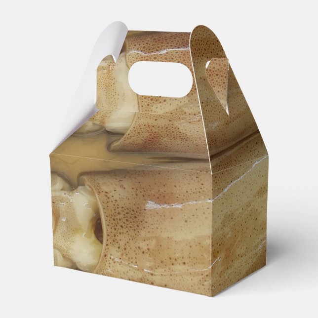 Squid - Calamari Favor Box (Front Side)