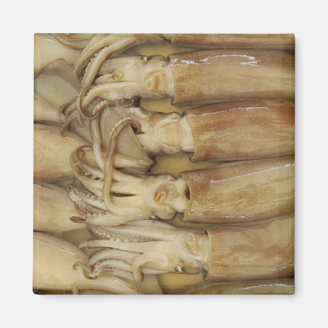 Squid - Calamari Magnet (Front)