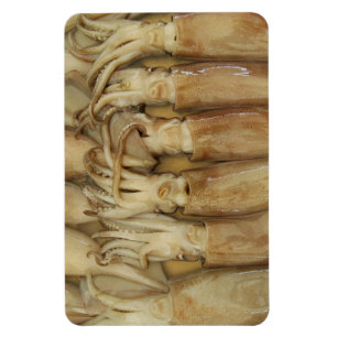 Squid - Calamari Magnet