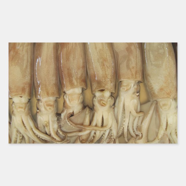 Squid - Calamari Sticker (Front)