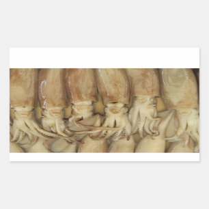 Squid - Calamari Sticker