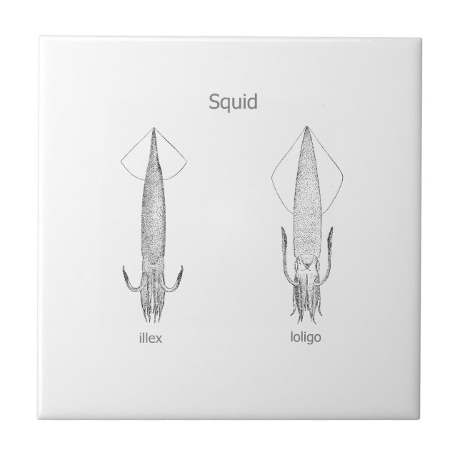 Squid Logo (line art) Tile (Front)