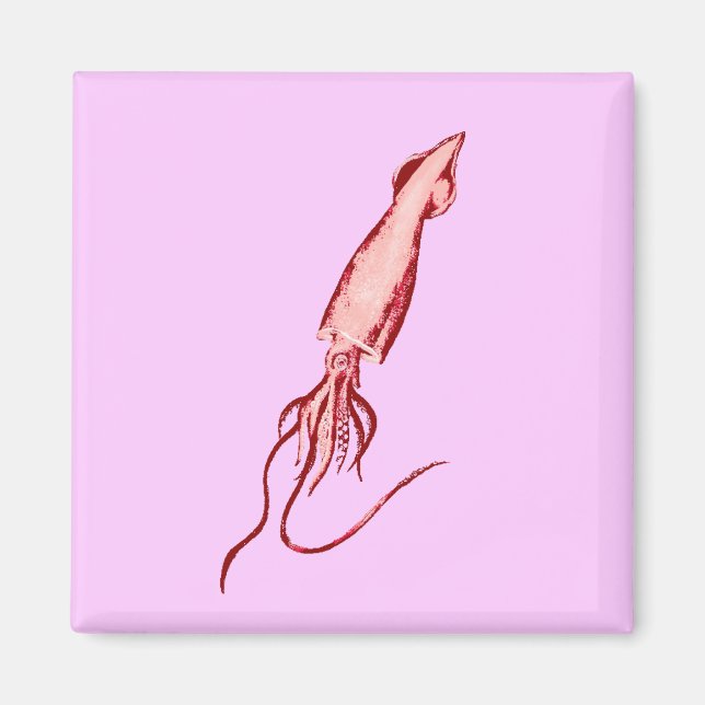 squid magnet (Front)